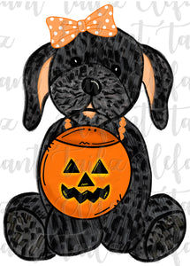 Halloween Girl Puppy - Black