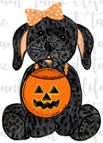 Halloween Girl Puppy - Black