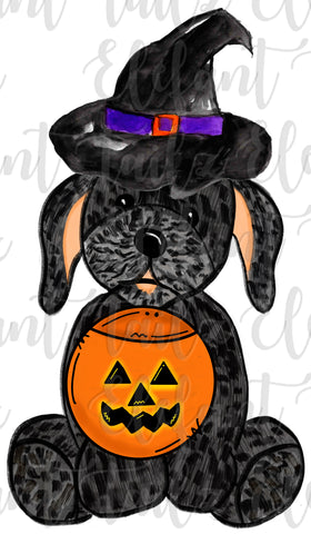 Halloween Witch Puppy - Black