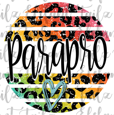 Grunge Rainbow Leopard Circle Parapro