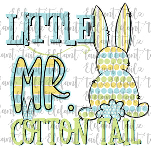 Little Mr. Cotton Tail Pastels Bunny